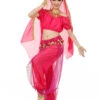 Belly Dance Costume Charming Chiffon Bollywood Dance Dress For Women With Veil
