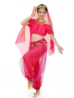 Belly Dance Costume Charming Chiffon Bollywood Dance Dress For Women With Veil