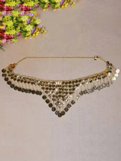 Belly Dance Waist Chain Metallic Belly Dancer Fringe Women Performance Costume