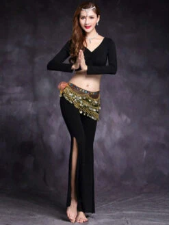 Belly Dance Set V Neck High Slit Crop Top With Pant 2 Piece Women Dancing Wear -Dresses Store 201911061732593504737