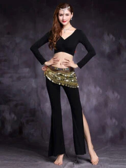 Belly Dance Set V Neck High Slit Crop Top With Pant 2 Piece Women Dancing Wear