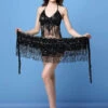 Latin Dance Costumes Sequin Fringe 2 Piece Sexy Dancer Dancing Wears Carnival -Dresses Store 201911071807190612217