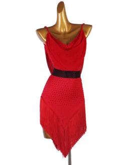 Latin Dance Dresses Red Women's Lycra Spandex Dress Dancing Wear