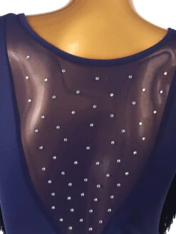 Latin Dance Costume Blue Women's Rhinestones Bodycon Sexy Polyester Dress Dancing Wear -Dresses Store 202204191816411597012