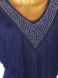 Latin Dance Costume Blue Women's Rhinestones Bodycon Sexy Polyester Dress Dancing Wear -Dresses Store 202204191816418125911