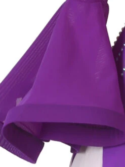 Ballroom Dance Costumes Purple Women's Sexy Polyester Rhinestones Dress Dancer Dance Dress -Dresses Store 202204191816476158376