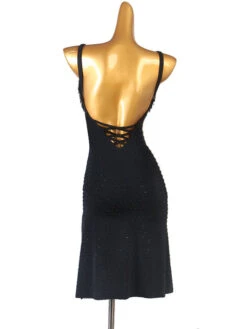 Latin Dance Dresses Black Women's Polyester Dress Sexy Latin Dancer Dancing Wear -Dresses Store 20220419181701717448