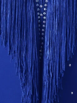 Latin Dance Dresses Blue Women's Polyester Dress Sexy Rhinestones Fringe Latin Dancer Dancing Costume -Dresses Store 202204211735146962204
