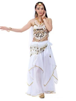 Belly Dance Top Pink Adult's Christmas Dress Sequins Lace Up Chiffon Women Performance Costume -Dresses Store 202205191236224158853