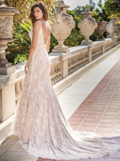 Wedding Bridal Gowns 2023 V-Neck Sleeveless Natural Waist Lace With Train Bridal Dresses Free Customization -Dresses Store 202210201539345688958