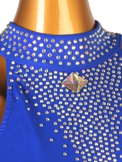 Latin Dance Dresses Royal Blue Women's Set Lycra Spandex Dress Dancing Wear -Dresses Store 202211071825595576396