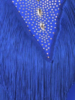Latin Dance Dresses Royal Blue Women's Set Lycra Spandex Dress Dancing Wear -Dresses Store 202211071825598944415