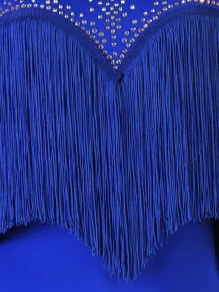 Latin Dance Dresses Royal Blue Women's Set Lycra Spandex Dress Dancing Wear -Dresses Store 202211071826002925484