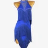 Latin Dance Dresses Royal Blue Women's Set Lycra Spandex Dress Dancing Wear 2 Latin Dance Dresses Royal Blue Women's Set Lycra Spandex Dress Dancing Wear -Dresses Store 202211071826012075379