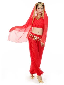 Belly Dance Costume Charming Chiffon Bollywood Dance Dress For Women With Veil -Dresses Store 28f2e3f7 75e3 45cc 9b02 9a88ceb39325