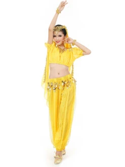 Belly Dance Costume Charming Chiffon Bollywood Dance Dress For Women With Veil -Dresses Store 4a197f57 52de 416f a59f aaf136fa79b8