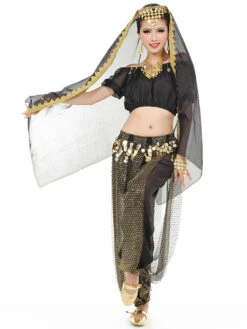 Belly Dance Costume Charming Chiffon Bollywood Dance Dress For Women With Veil -Dresses Store 5b1e8952 54cc 4f5d 9ca6 2e599d0b9b2c