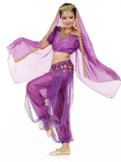 Belly Dance Costume Charming Chiffon Bollywood Dance Dress For Women With Veil -Dresses Store 625e0dbf e8e6 4849 94b4 4963689fe857