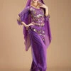 Belly Dance Costume Purple Sexy Bollywood Dance Dress For Women